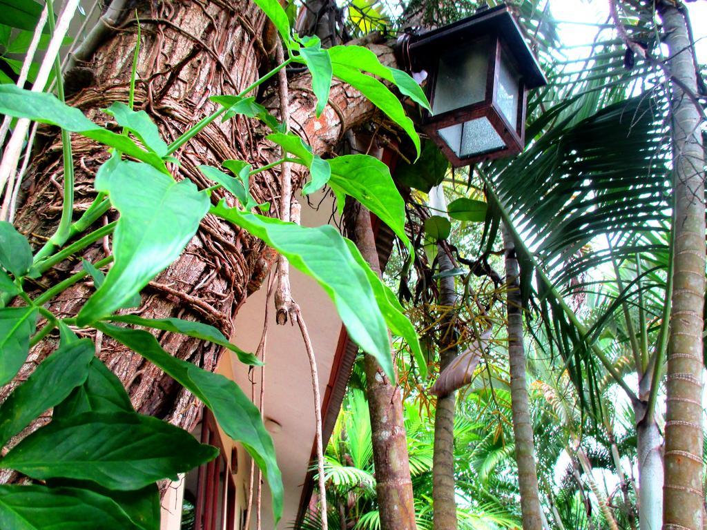 Happiness Resort Ban Klong Haeng Экстерьер фото